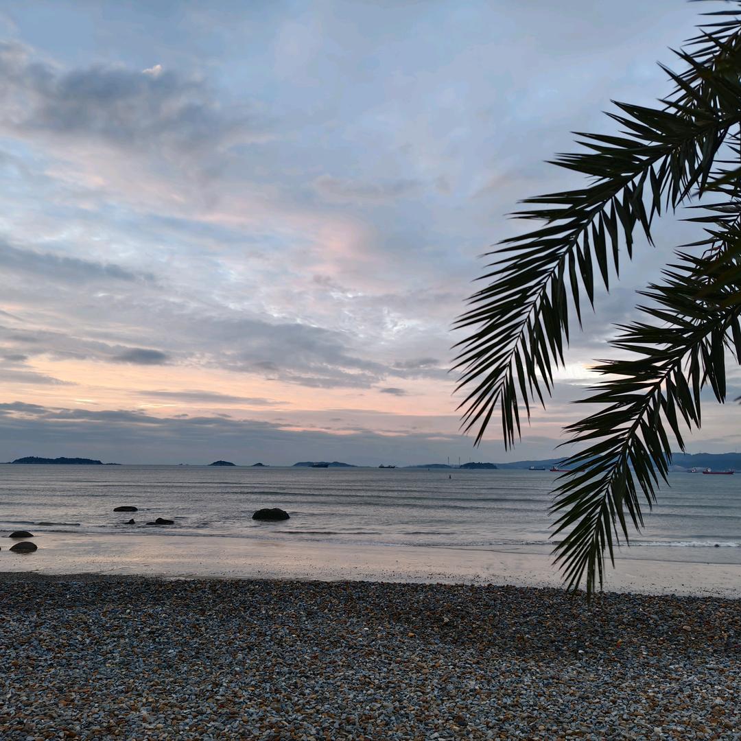 天才不写心碎的诗