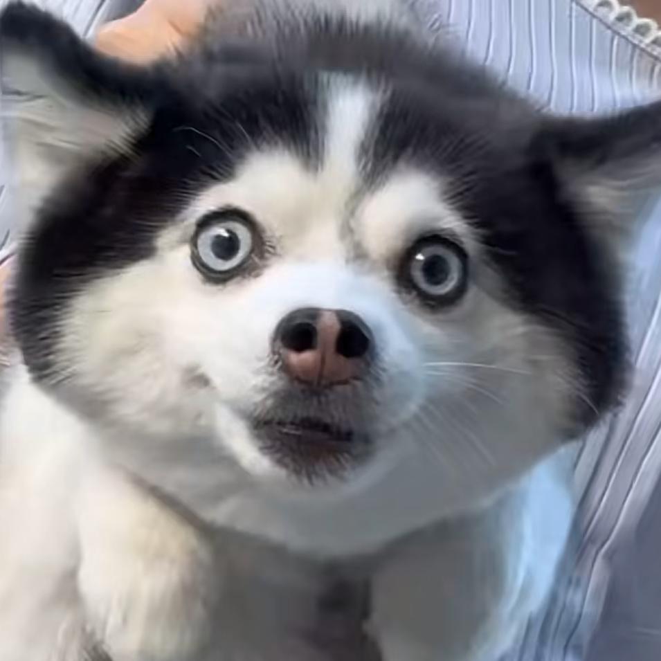 潼家手工