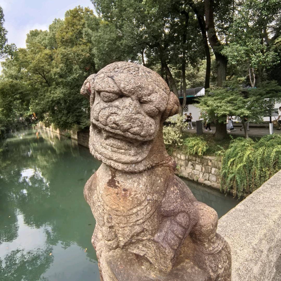晨晓