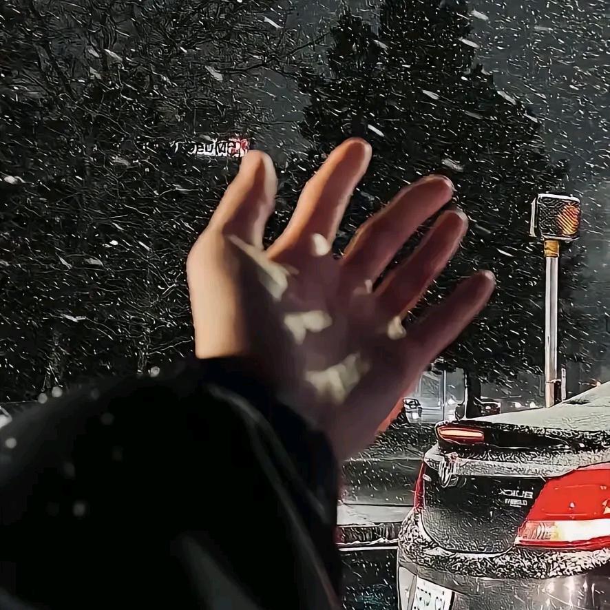 🍜´･ᴗ･`🍜吃饱饱，没烦恼。的头像