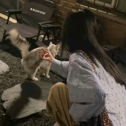 困困土豆泥 𝙯ᙆ.