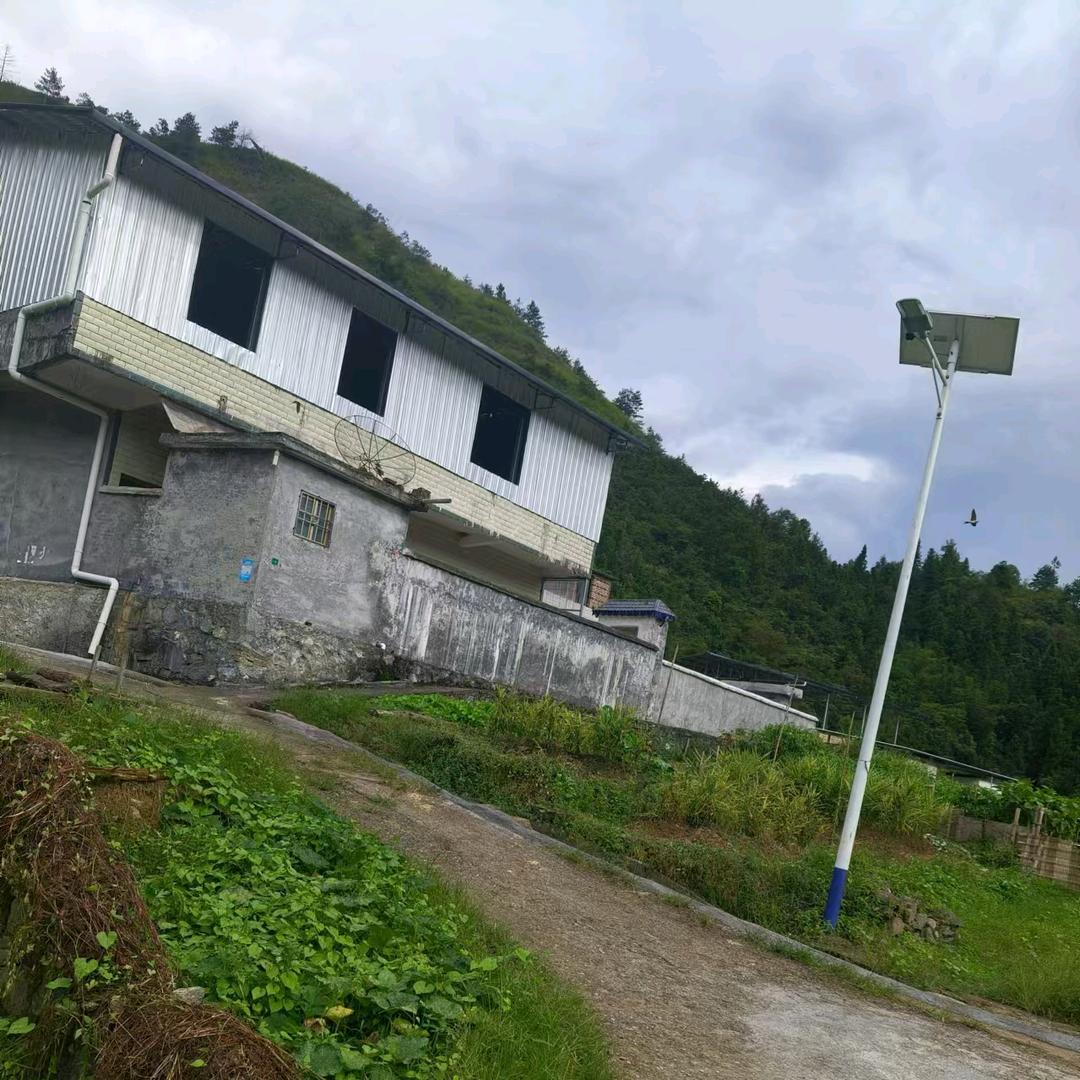 韶州古惑仔
