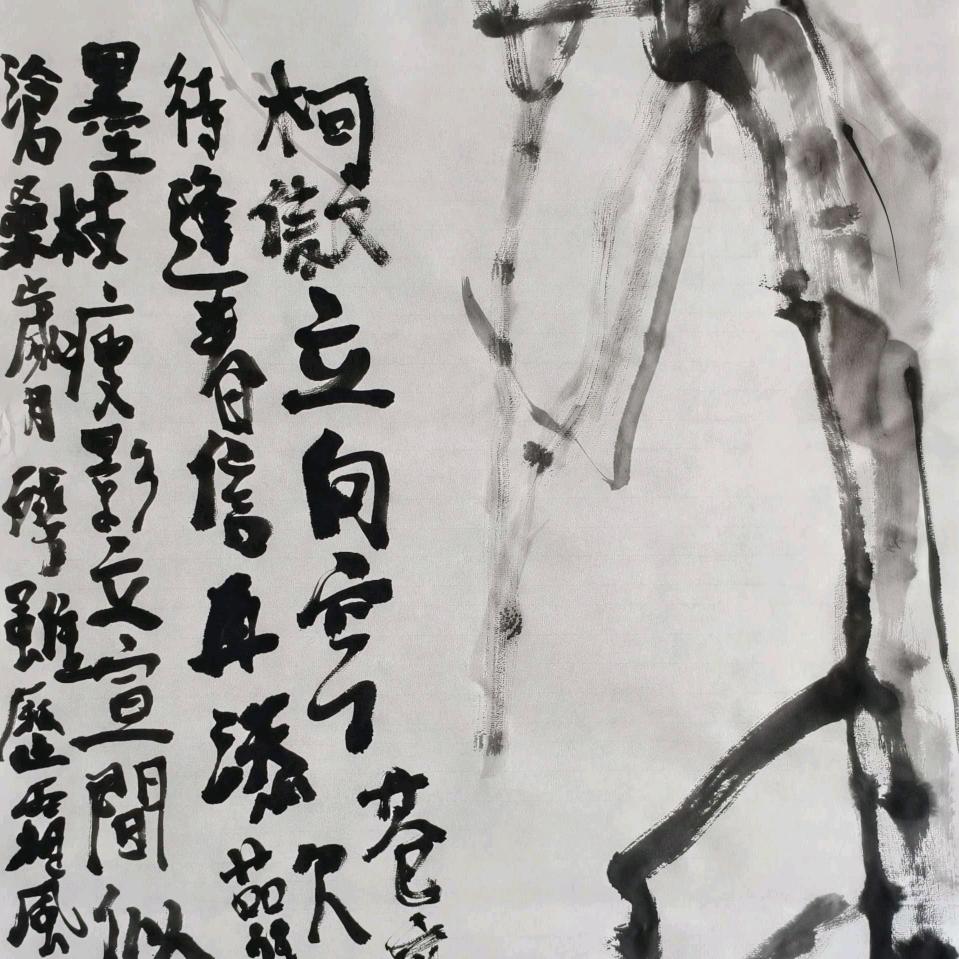 诸葛清云