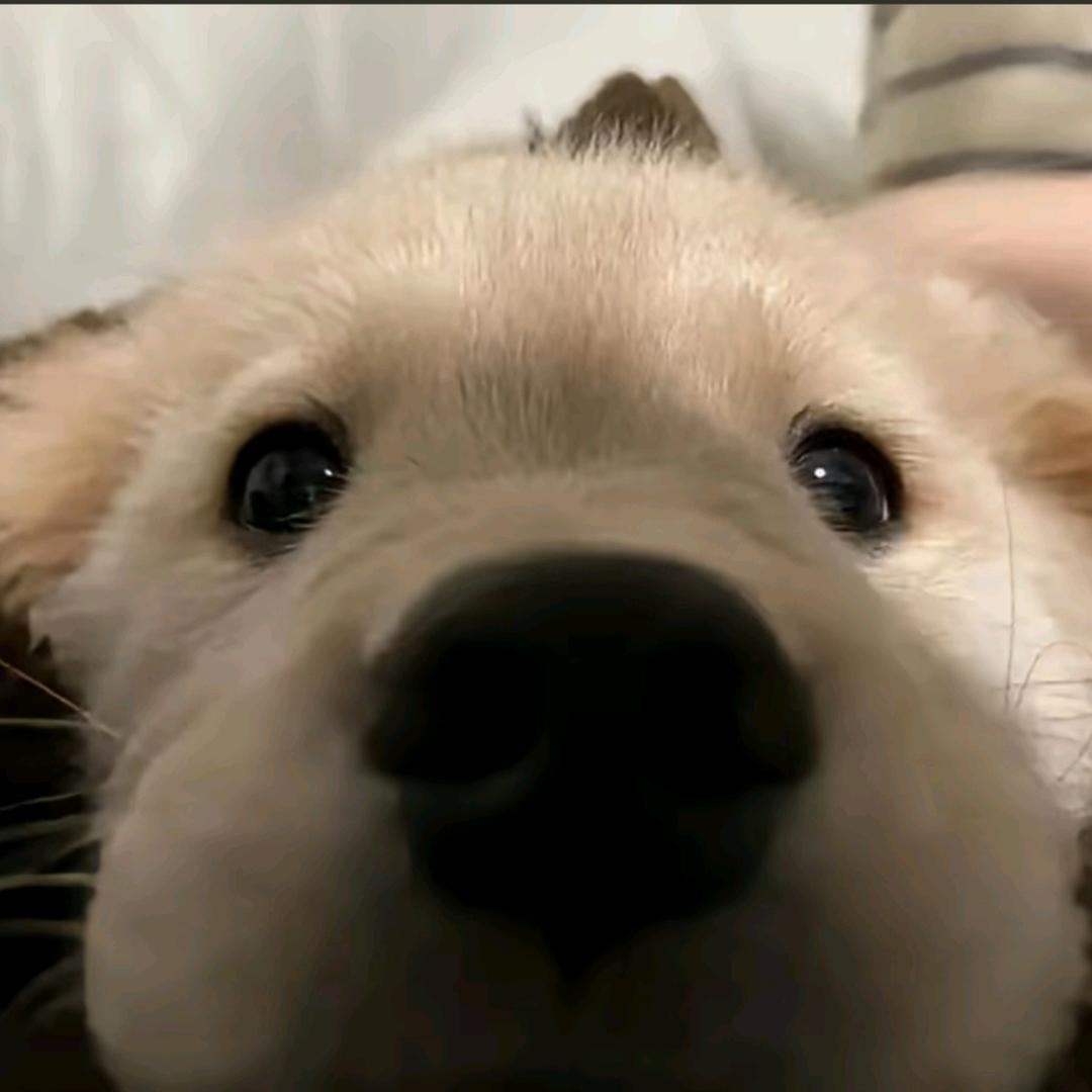 遇到坏人怎么办