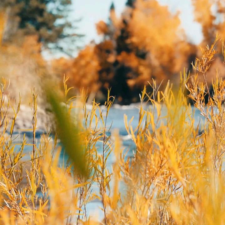 老杨的微观世界