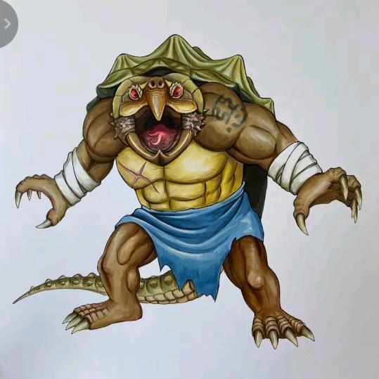 霜霜大鳄宠物馆收割机（长期回收退坑鳄龟）