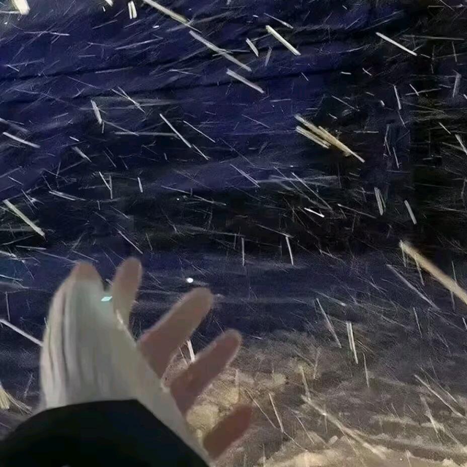 我又不乱来
