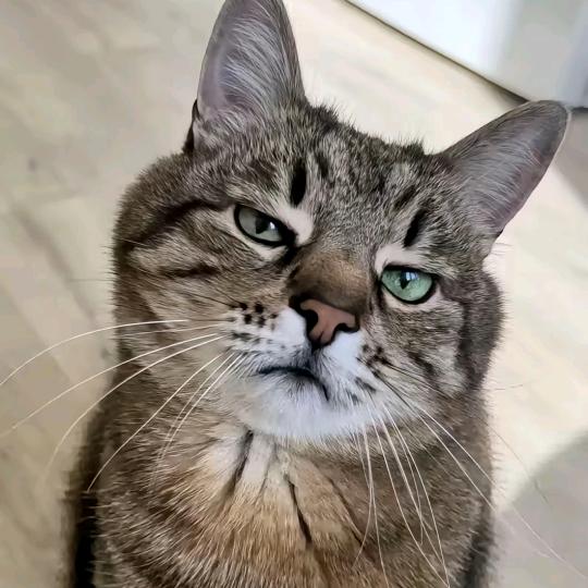 勇敢的手电筒🔦