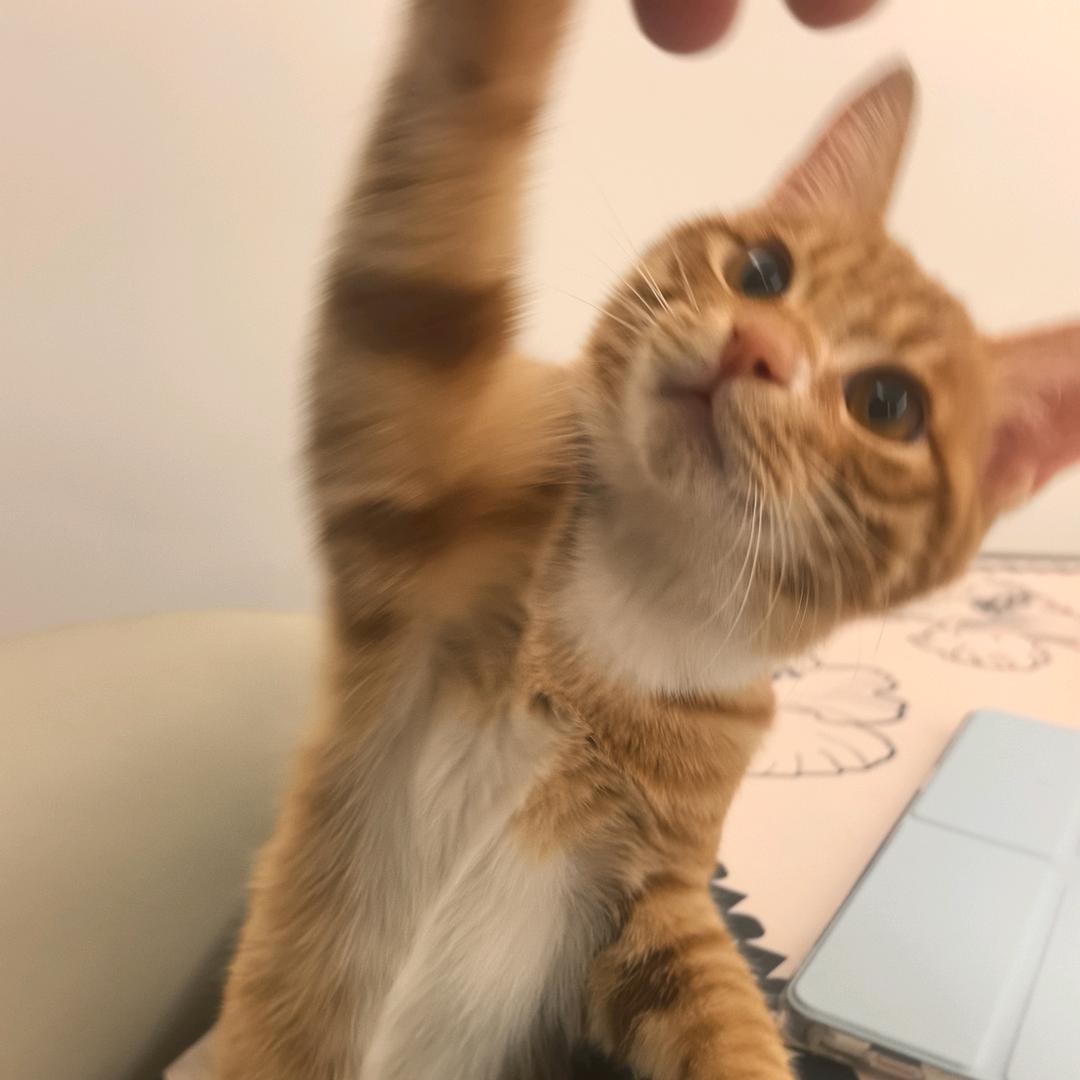 暴躁老奶大战奥特曼只为夺回两万八的假牙