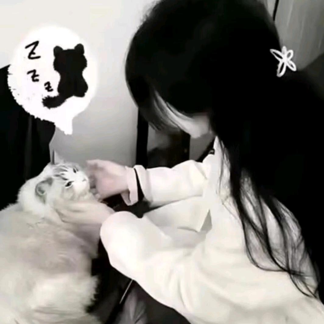 遇见⊹（见过蒲¹）