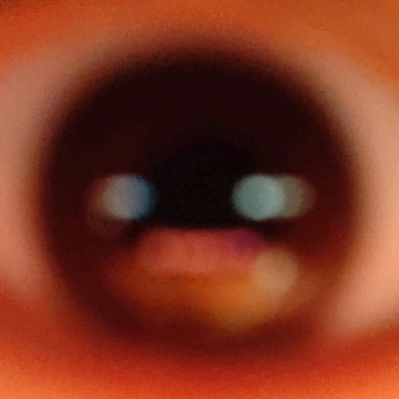 在狗熊岭掏蜂窝