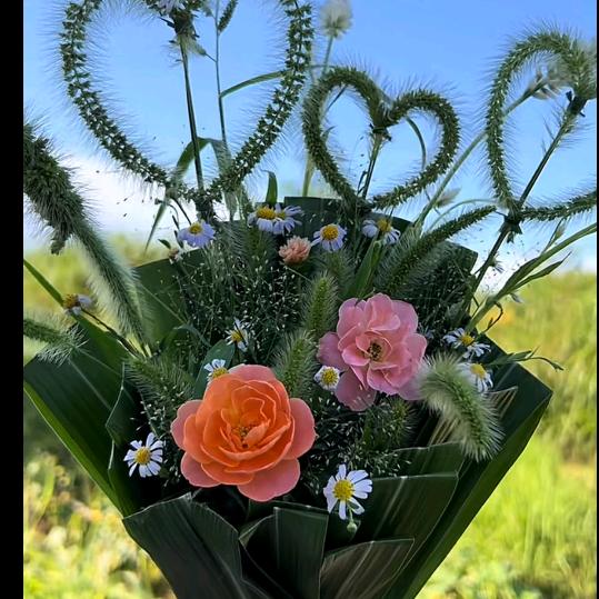 ～এ᭄莲 💞࿐ᩚ