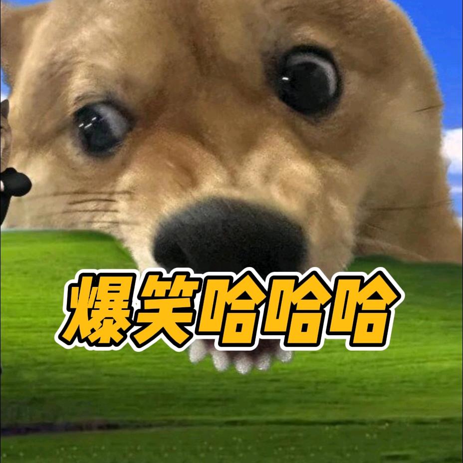 爆笑哈哈哈