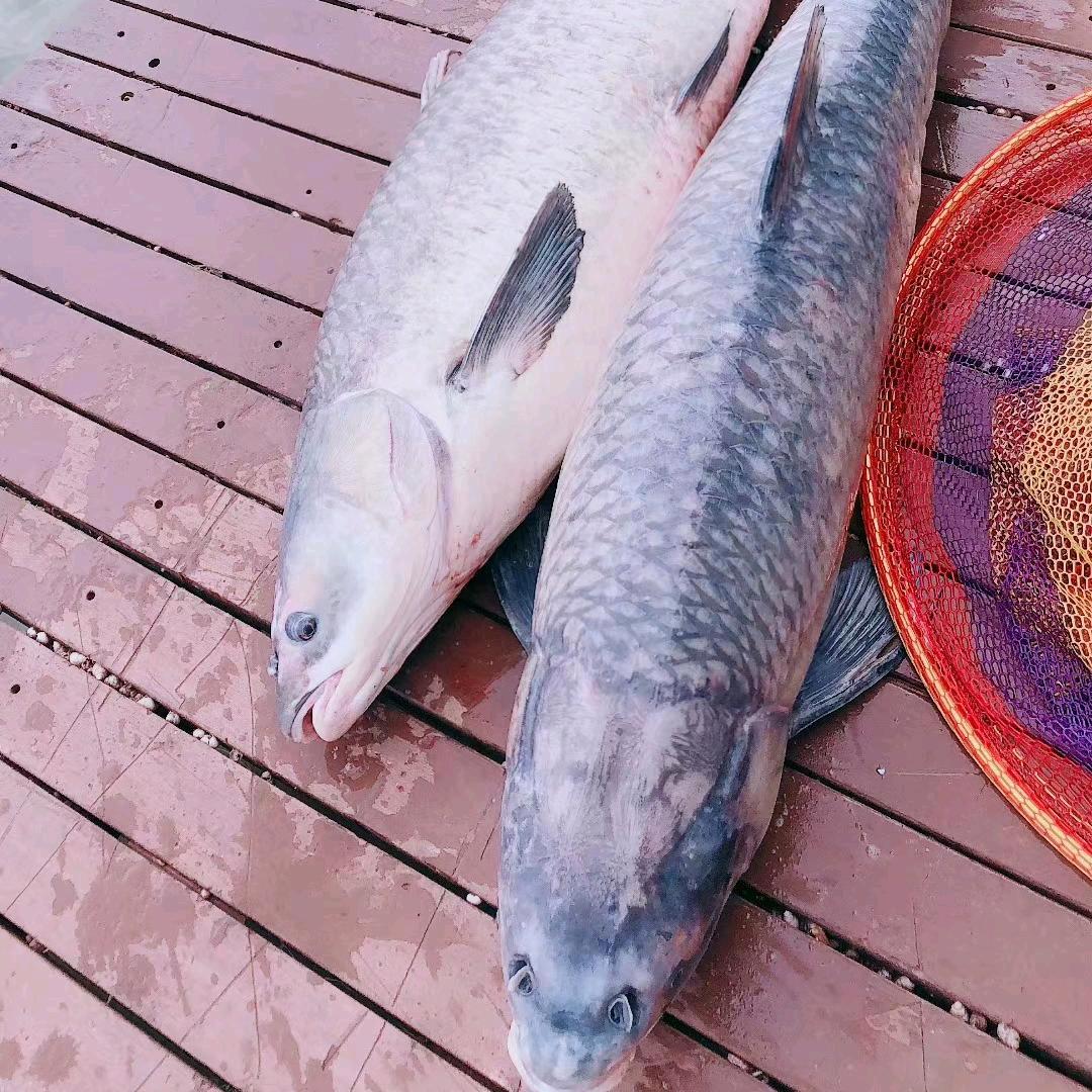水库垂钓