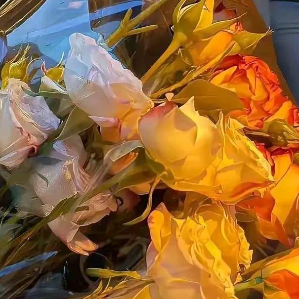 ꧁ɞ遇♥♕见♚꧂╭(╯ε╰)╮