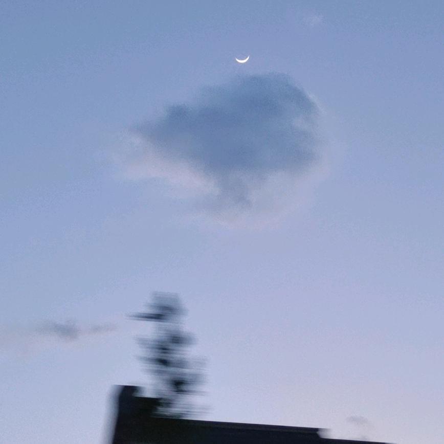 🌈冬瓜冬瓜丑冬瓜