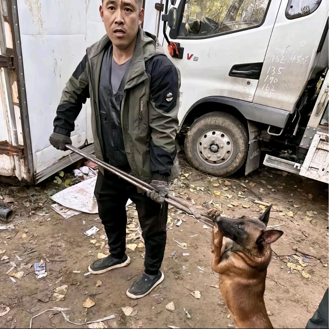 AAA李师专业套狗