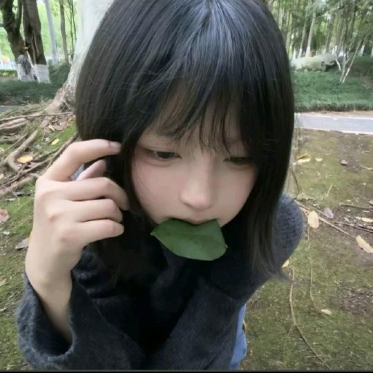 简单爱