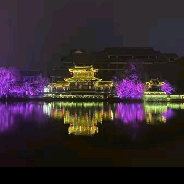 星星妈（8月4号上午9：50首播）