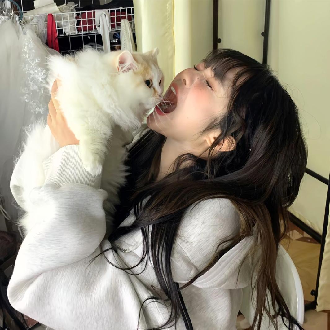 寄予相思🎀