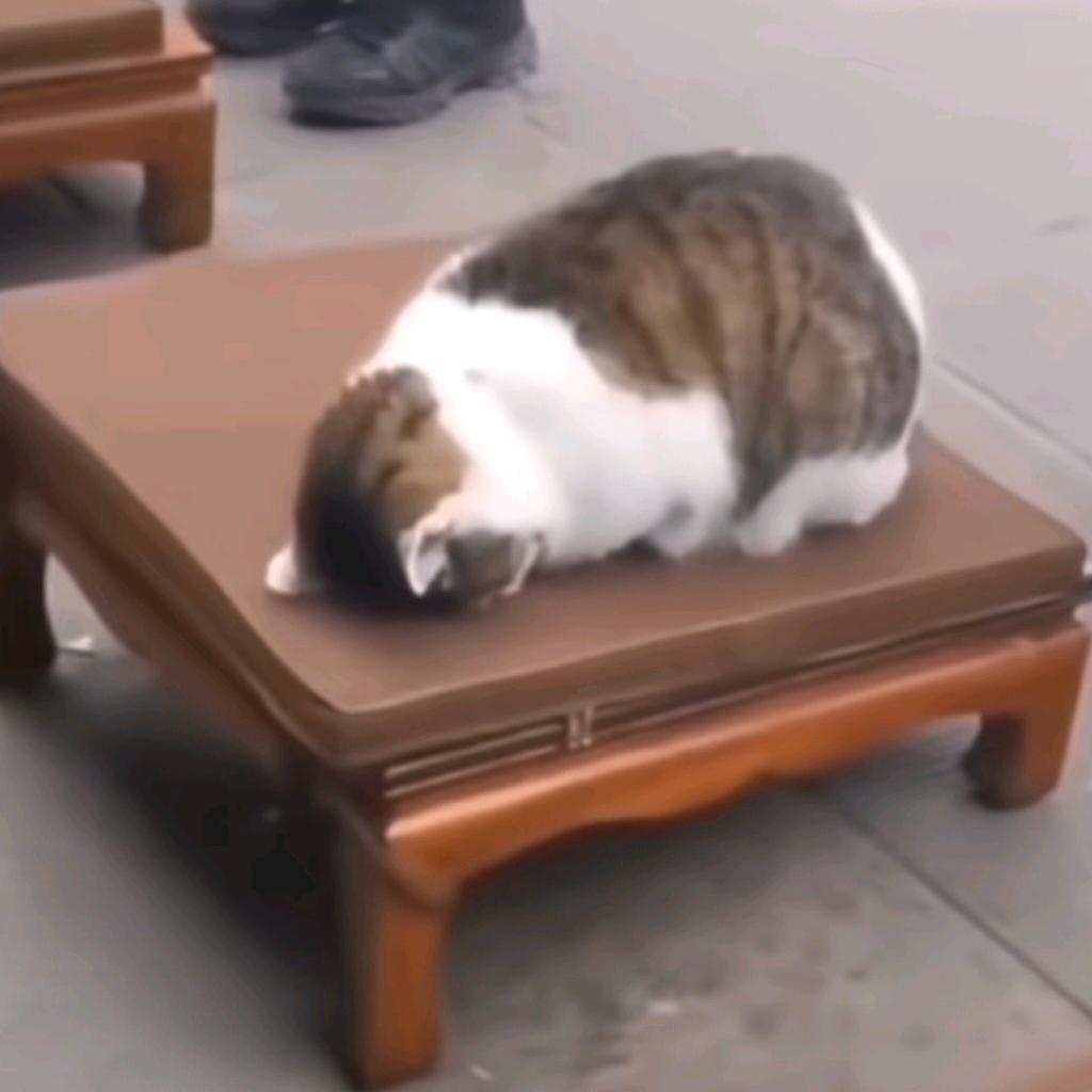 中华