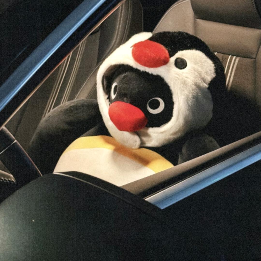 眼泪汪汪飞