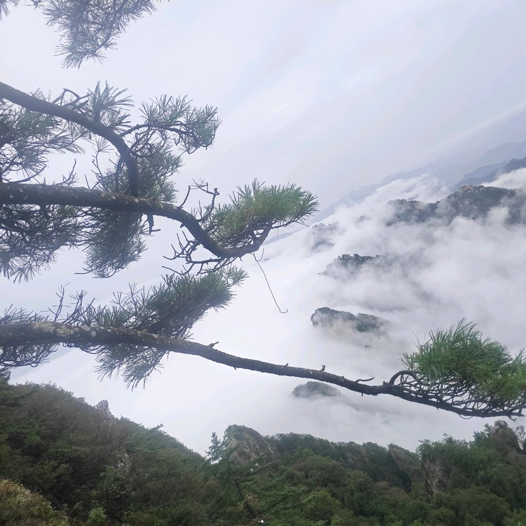 小雨点