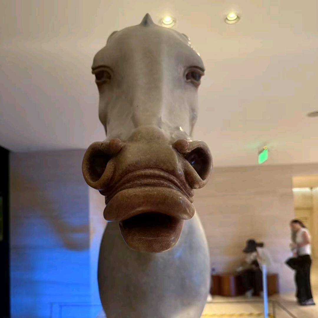 骑着毛驴赶大集