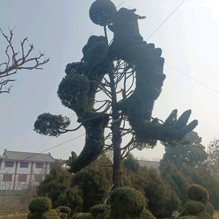 小丽爱生活