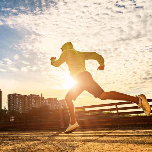 熊猫集团(内环东线辅路)宠粉号