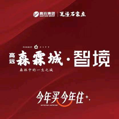 高远·森霖城·智境