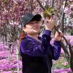 陌上花