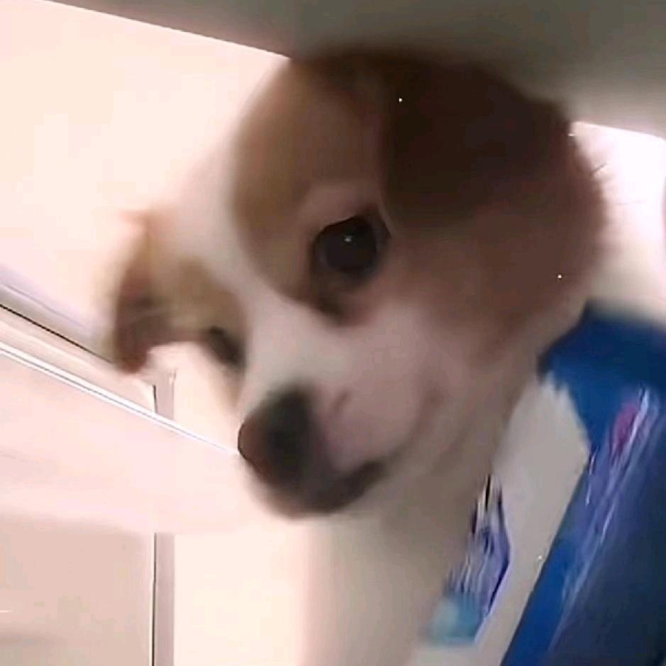 顾影自怜