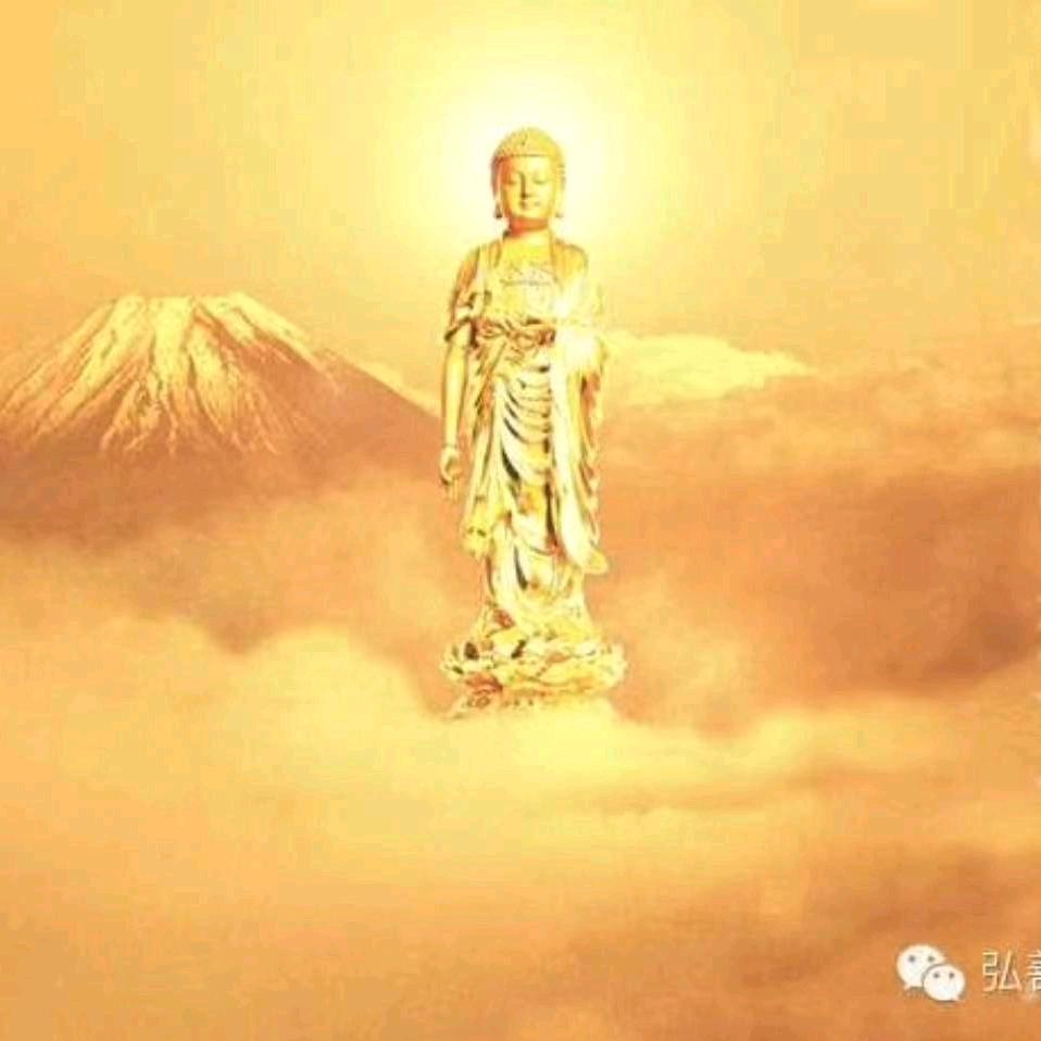 聚缘堂，鸿蒙惜缘
