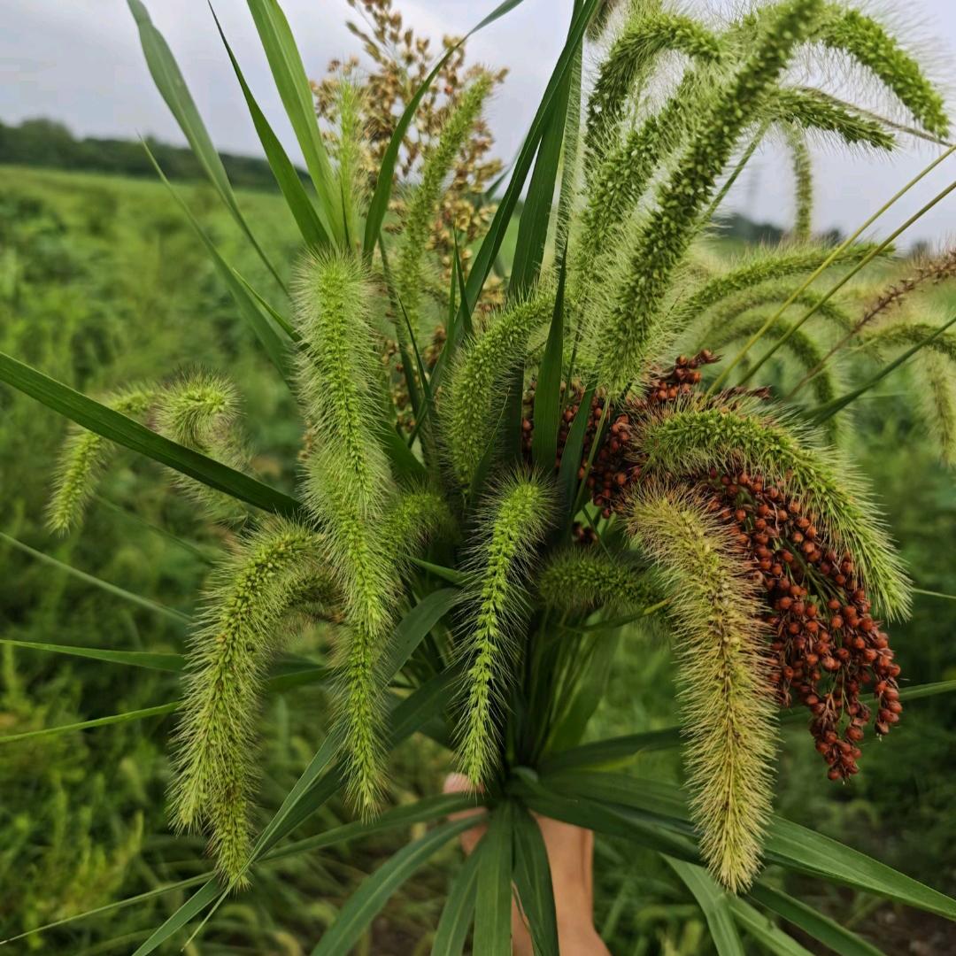 ᰔᩚ᭄浅笑不语ℛ꧔ꦿᩚ࿐