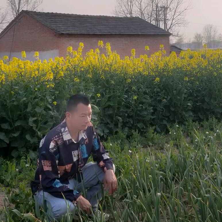 于哥助农（厂家直发）