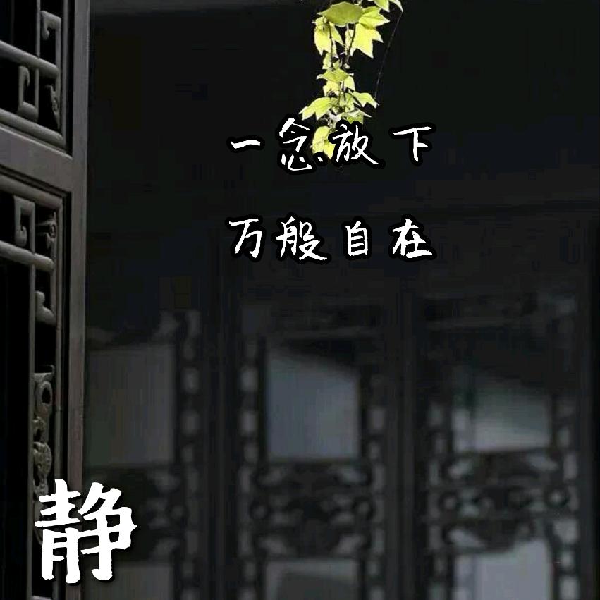 🏍顺利吉祥🎱
