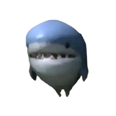 🦈🦈🦈