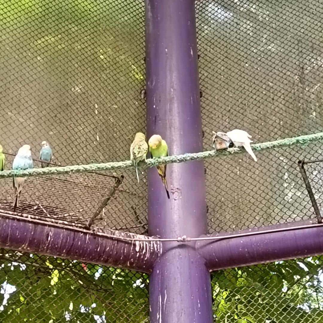 健身姐