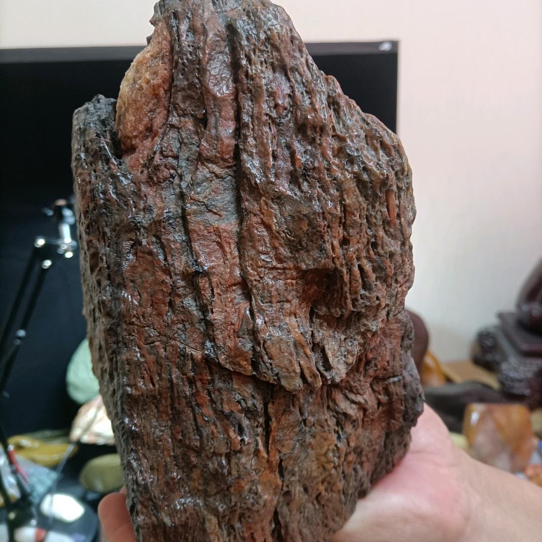 新疆老李捡石头