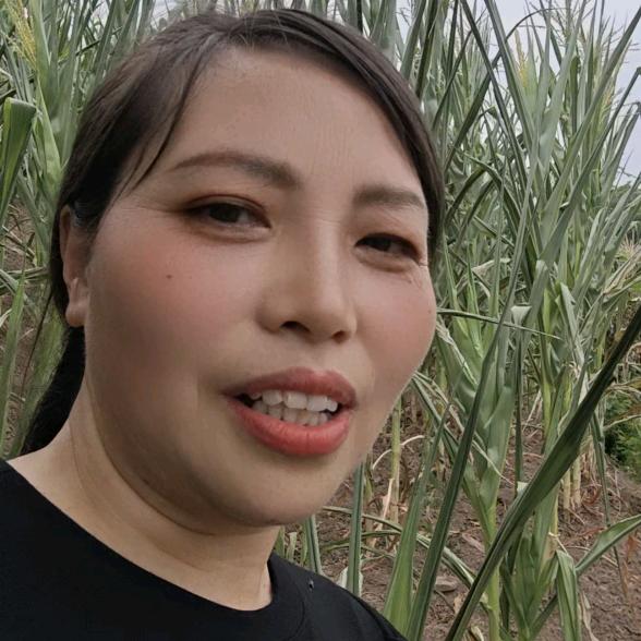 雪山四姐