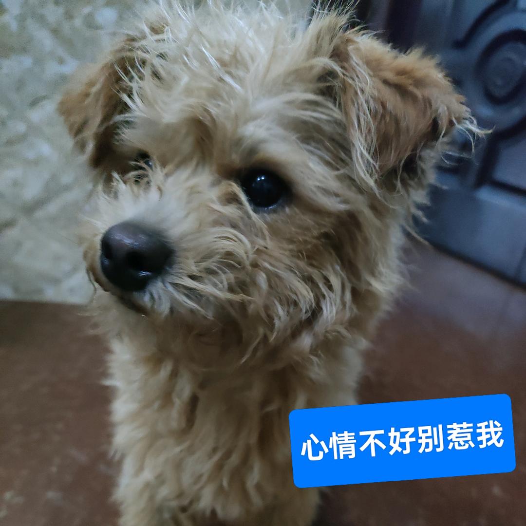 心情不好别惹我
