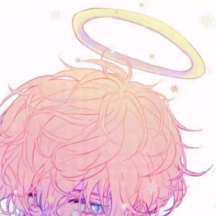鲤鱼x