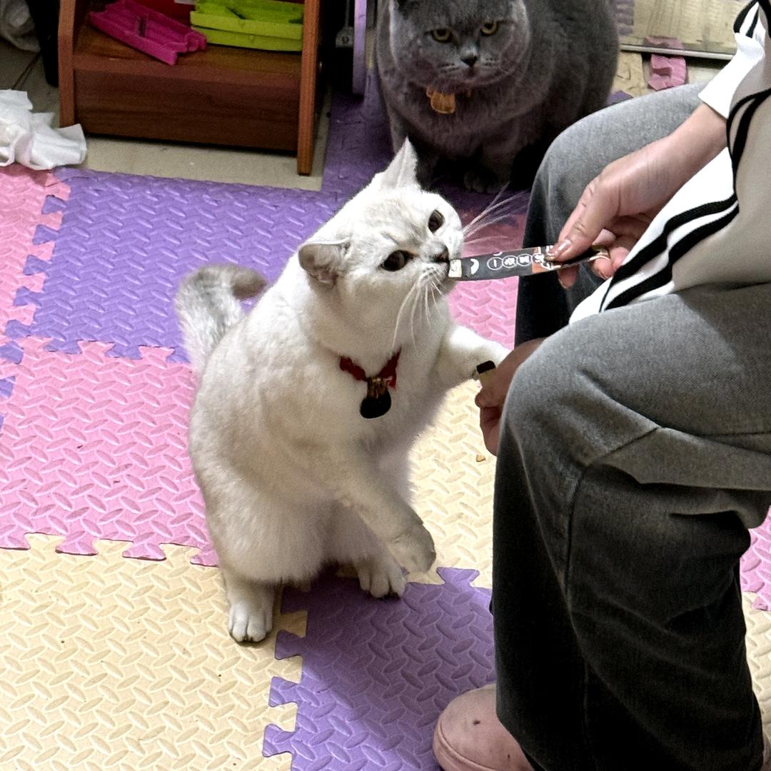 萱宝（私了）哟