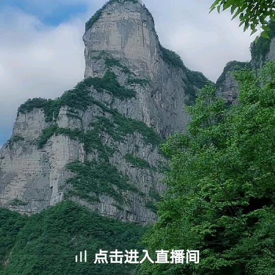 小雷