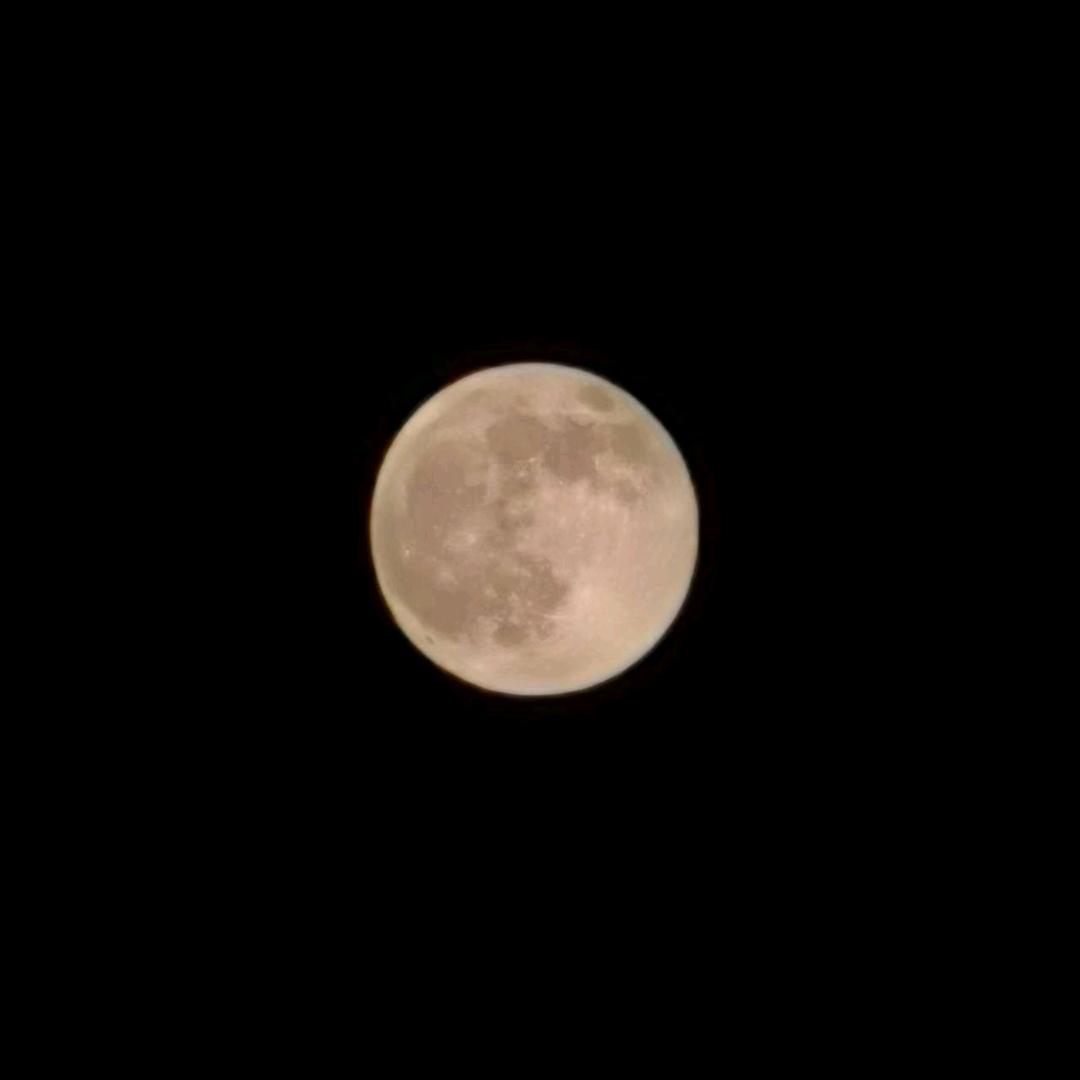 🌾东南西北风🍃