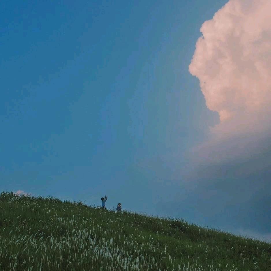 俊鹅鹅鹅鹅鹅鹅