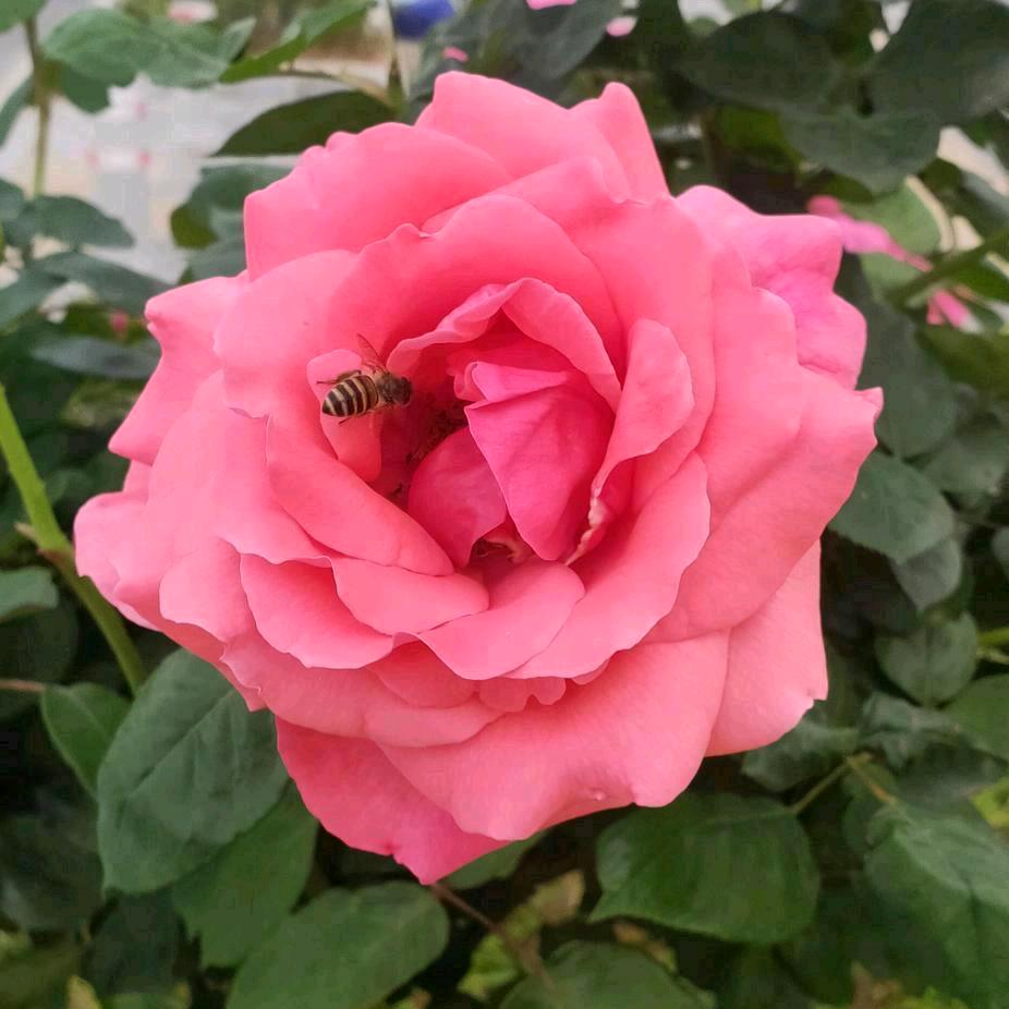 宁静致远💞《橱窗有好物》