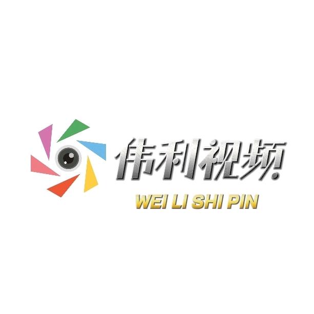 伟利视频
