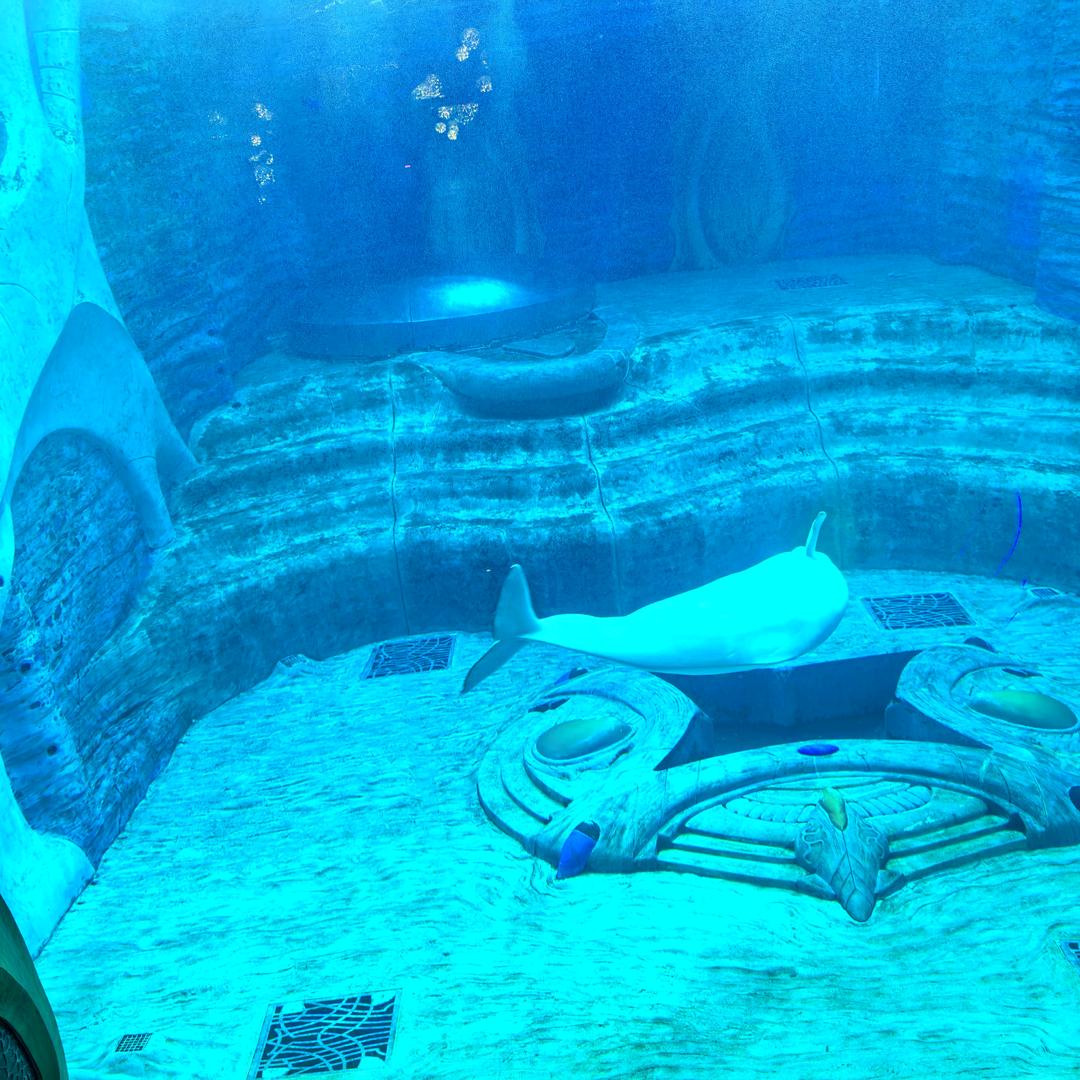 平安喜乐每一天